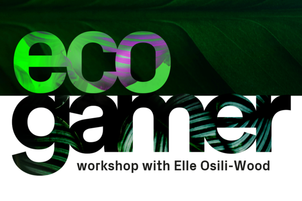 Eco Gamer: Live Workshop
